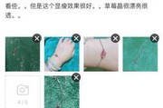 M821手机评测（探索M821手机的创新功能和卓越性能）