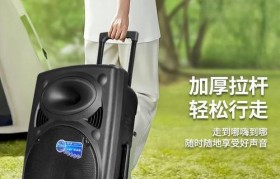 先科蓝牙音箱的性能和质量如何？（深度测评先科蓝牙音箱，全面解析其音质、连接稳定性和使用体验）