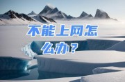 电脑无法上网，如何解决？（排查网络问题，恢复上网功能）