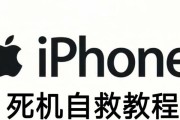 探究苹果手机死机的原因与解决方法（如何引发苹果手机死机并有效解决问题）
