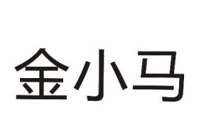 小马金服（助力金融业务数字化转型，引领行业发展潮流）