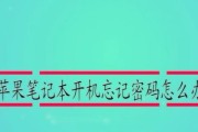 苹果电脑开机密码名称修改方法解析（详细教程帮助你轻松修改开机密码名称）