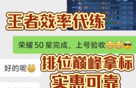 荣耀之路（掌握技巧，赢得荣耀，成为顶尖代练玩家）