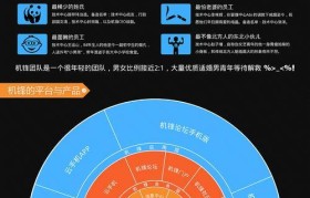 机锋论坛（探索最新科技、解决手机疑难问题的首选之地）