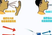 如何制作一个高效的电风扇（简单实用的DIY电风扇制作指南）