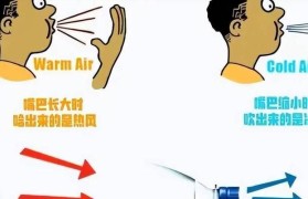如何制作一个高效的电风扇（简单实用的DIY电风扇制作指南）