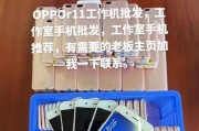 R11手机配置全面解析（探索R11手机的强大配置与性能）