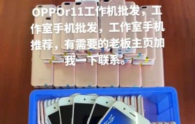 R11手机配置全面解析（探索R11手机的强大配置与性能）