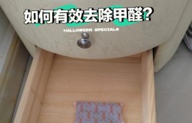 石家庄华广家具（打造舒适家居生活体验，满足多样化需求）