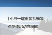 小白也能轻松重装系统，详细操作教程来袭！（U盘重装系统，零基础小白也能轻松搞定！）