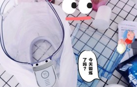 Laica滤水壶的效果和优点（为您解析Laica滤水壶的滤水原理和使用体验）