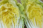 大白菜变身iOS系统！（教你轻松将大白菜装上iOS系统）