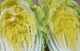大白菜变身iOS系统！（教你轻松将大白菜装上iOS系统）
