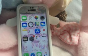 苹果5s高仿机究竟如何？（揭秘高仿苹果5s手机的性能与优劣）