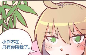 探索迪澳普（DOPMP）的优势与劣势