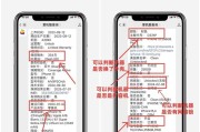 辨别苹果手机真假的方法与技巧（揭秘苹果手机真伪，了解真假手机区别的关键）