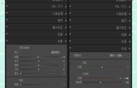 探索Lightroom手机版的优点与功能（简洁实用，轻松打造专业级照片后期编辑）