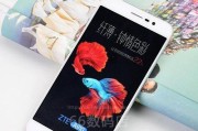 中兴A2017——性价比之王（打破性价比瓶颈，中兴A2017带给你超值体验）
