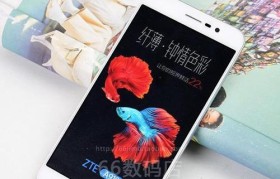 中兴A2017——性价比之王（打破性价比瓶颈，中兴A2017带给你超值体验）
